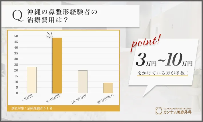 沖縄の鼻整形経験者へのアンケート調査「鼻整形の費用」