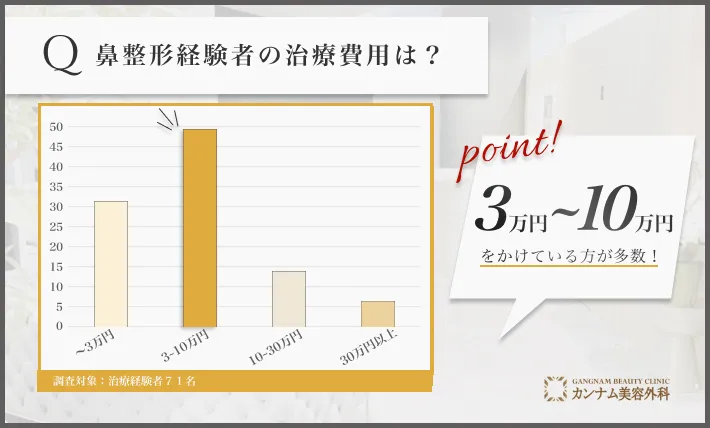 鼻整形経験者へのアンケート調査「鼻整形の費用」
