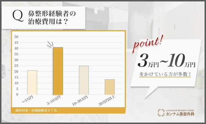 鼻整形経験者へのアンケート調査「鼻整形の費用」