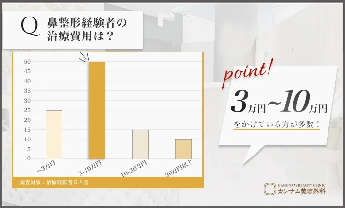 鼻整形経験者へのアンケート調査「鼻整形の費用」