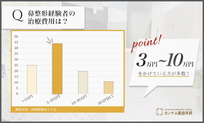 鼻整形経験者へのアンケート調査「鼻整形の費用」