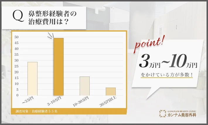 鼻整形経験者へのアンケート調査「鼻整形の費用」