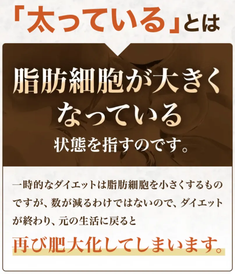 太っているとは脂肪細胞が大きくなっている状態を指す