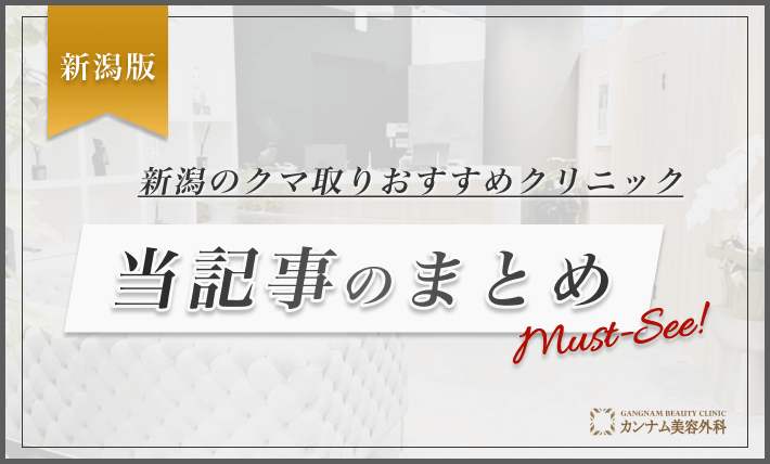 新潟のクマ取りおすすめクリニック 当記事のまとめ