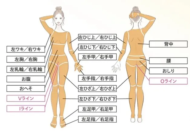 医療脱毛が人気のレジーナクリニックでは、37か所の脱毛が可能