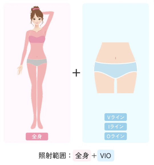 全身+VIO 照射範囲