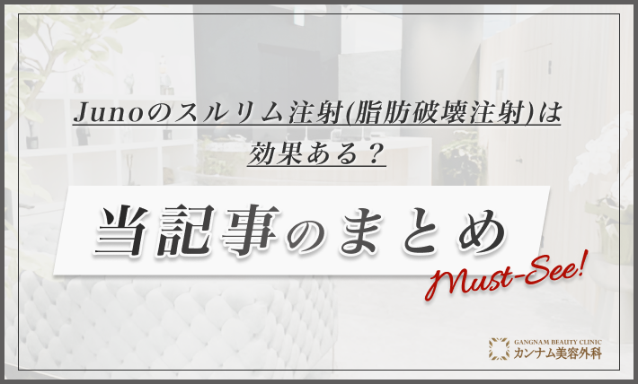 Junoのスルリム注射(脂肪破壊注射)は効果ある? 当記事のまとめ