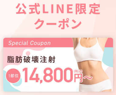 脂肪破壊注射14,800円
