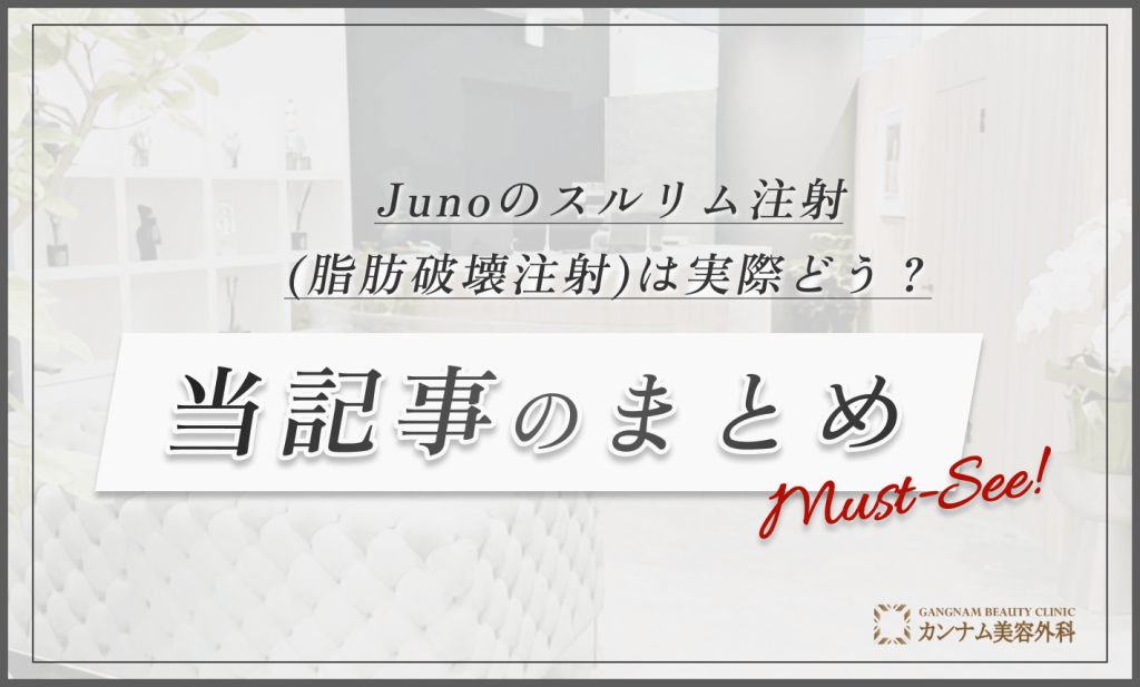 :Junoのスルリム注射(脂肪破壊注射)は実際どう? 当記事のまとめ