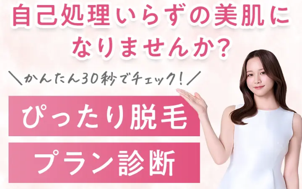 プラン診断