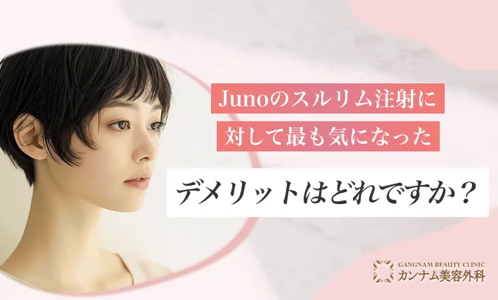 Junoのスルリム注射に対して最も気になったデメリットはどれですか?