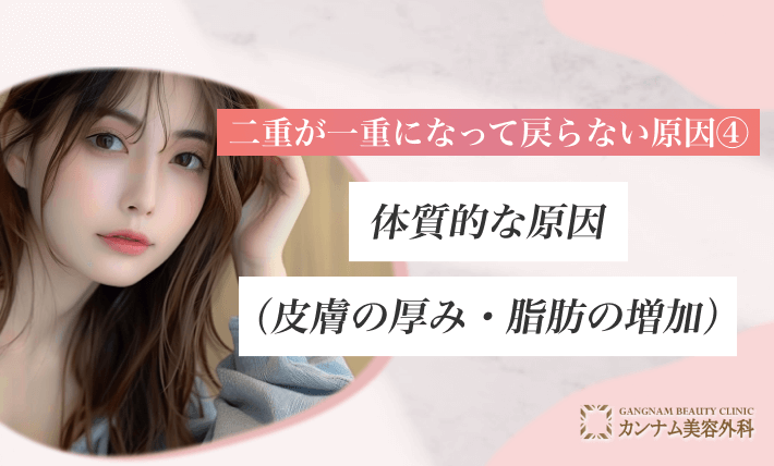二重が一重になって戻らない原因④ 体質的な原因（皮膚の厚み・脂肪の増加）