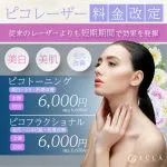 LULA美容クリニックのピコレーザー