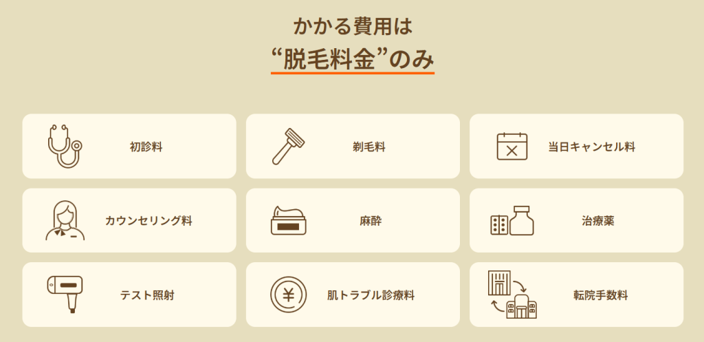 レジーナクリニック　かかる費用