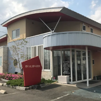 野口皮膚科医院の外観の様子