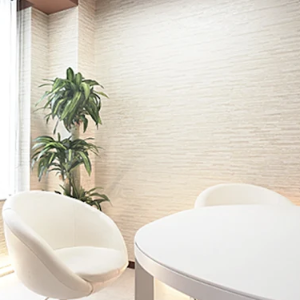 ジョウクリニック 銀座院の豊胸手術を受ける前のカウンセリングルーム