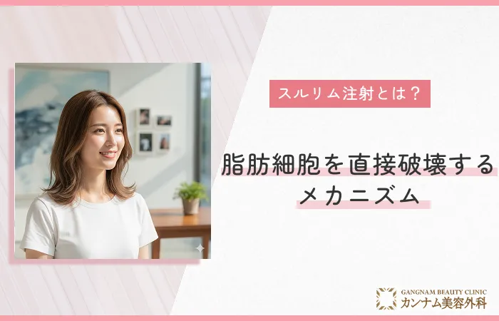 スルリム注射とは？脂肪細胞を直接破壊するメカニズム