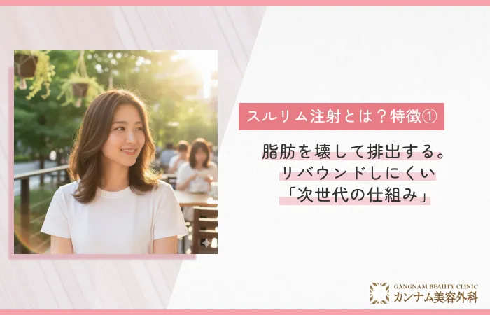 特徴①：脂肪を壊して排出する。リバウンドしにくい「次世代の仕組み」